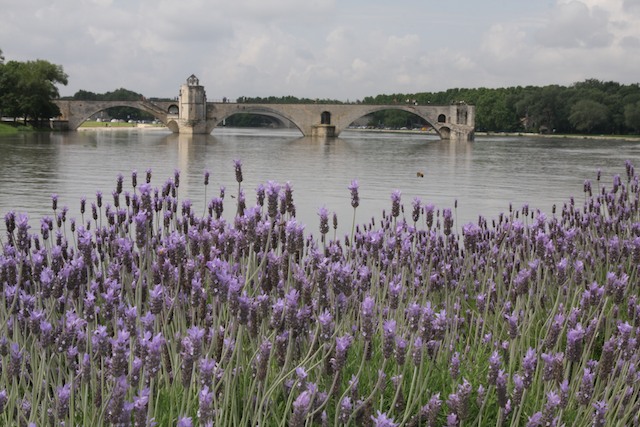 Avignon 12